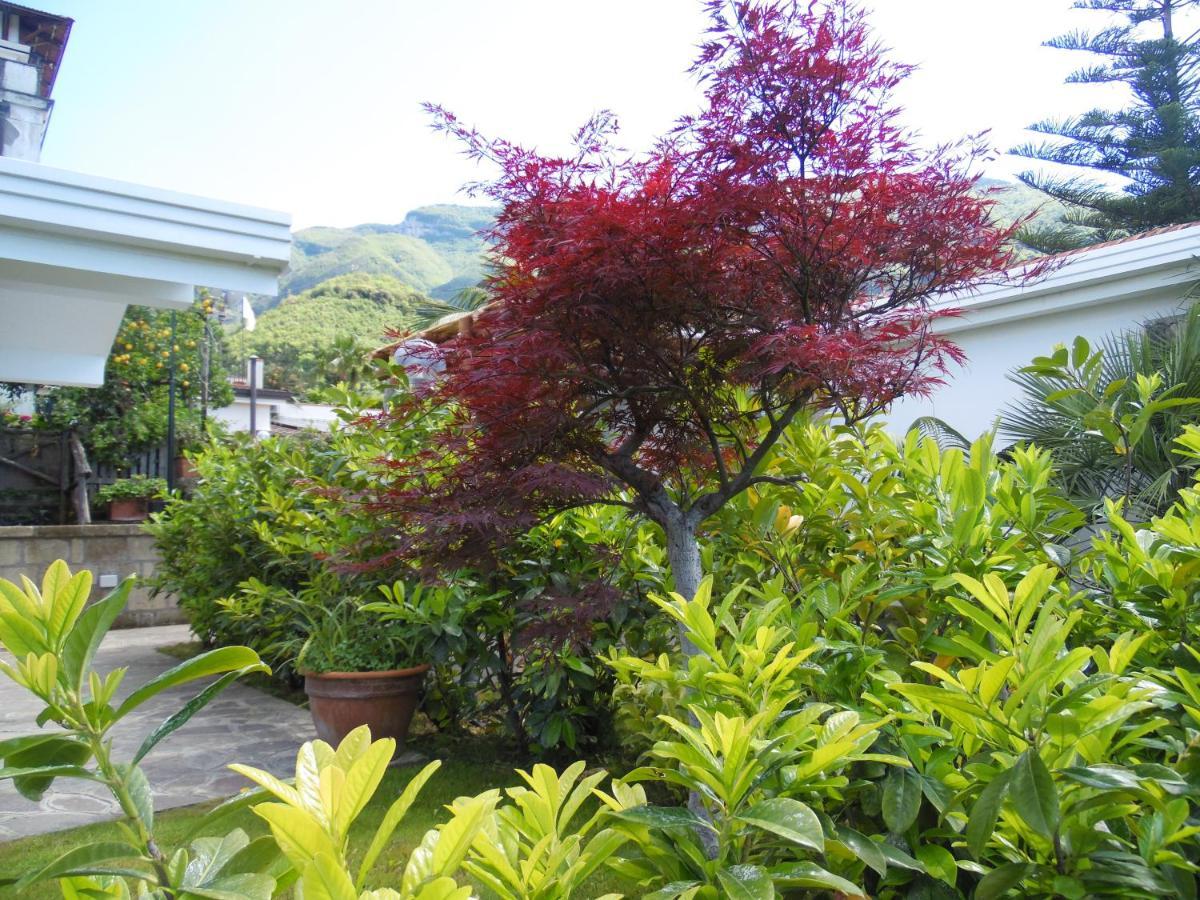 Villa Bianca Castellammare di Stabia Exterior foto