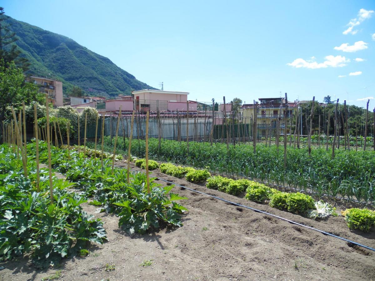 Villa Bianca Castellammare di Stabia Exterior foto