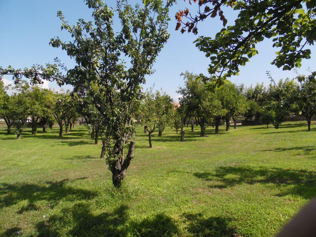 Villa Bianca Castellammare di Stabia Exterior foto